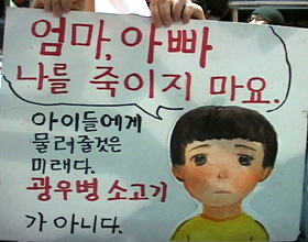 “미친 소는 청와대로”  광우병 촛불집회