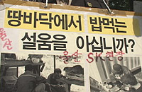 (타워 위의) 울산플랜트 동지들에게